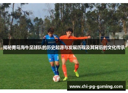 揭秘青岛海牛足球队的历史起源与发展历程及其背后的文化传承 揭秘青岛海牛足球队的历史起源与发展历程及其背后的文化传承