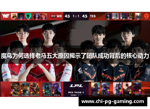 魔鸟为何选择老马五大原因揭示了团队成功背后的核心动力 魔鸟为何选择老马五大原因揭示了团队成功背后的核心动力