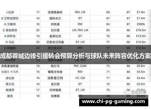 成都蓉城边锋引援转会预算分析与球队未来阵容优化方案 成都蓉城边锋引援转会预算分析与球队未来阵容优化方案